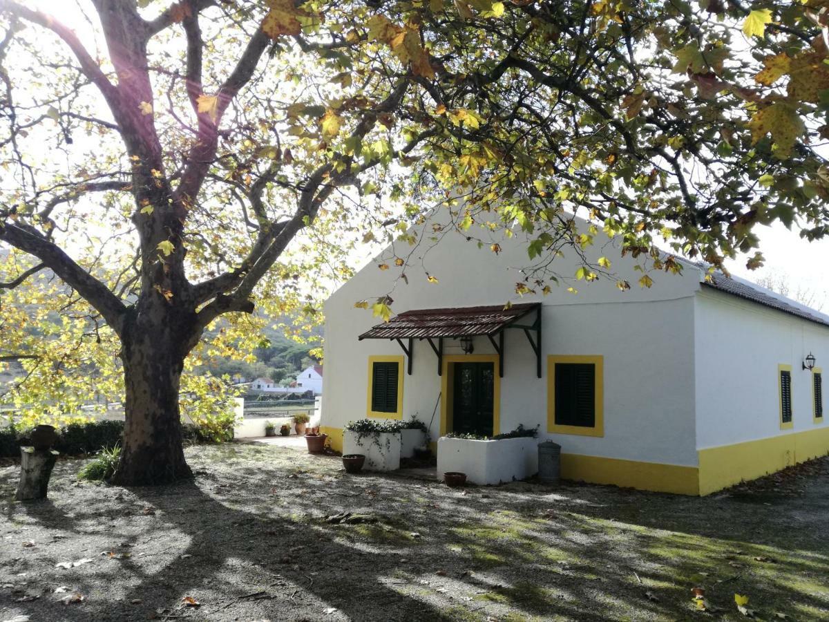 Montejunto Villas - Casa Do Platano Cadaval Exterior photo