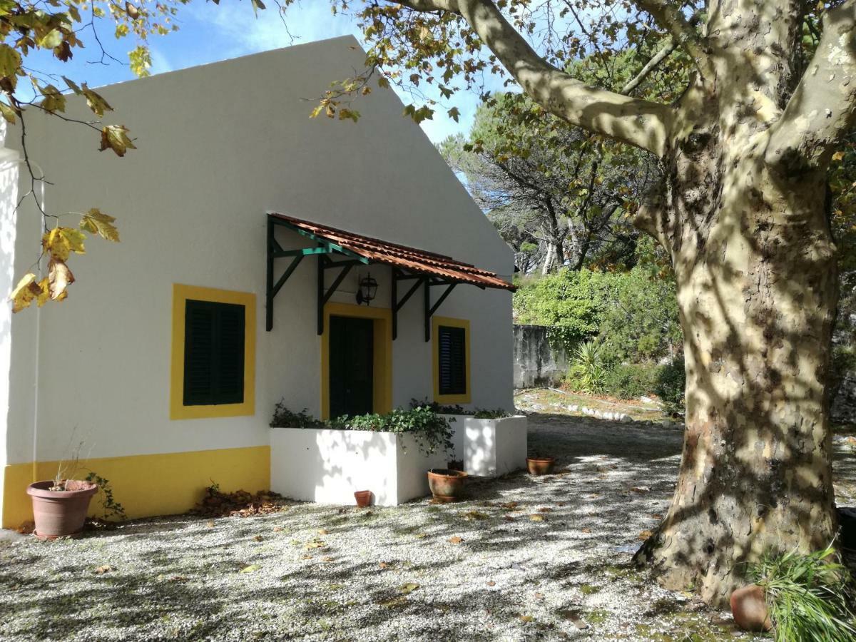 Montejunto Villas - Casa Do Platano Cadaval Exterior photo