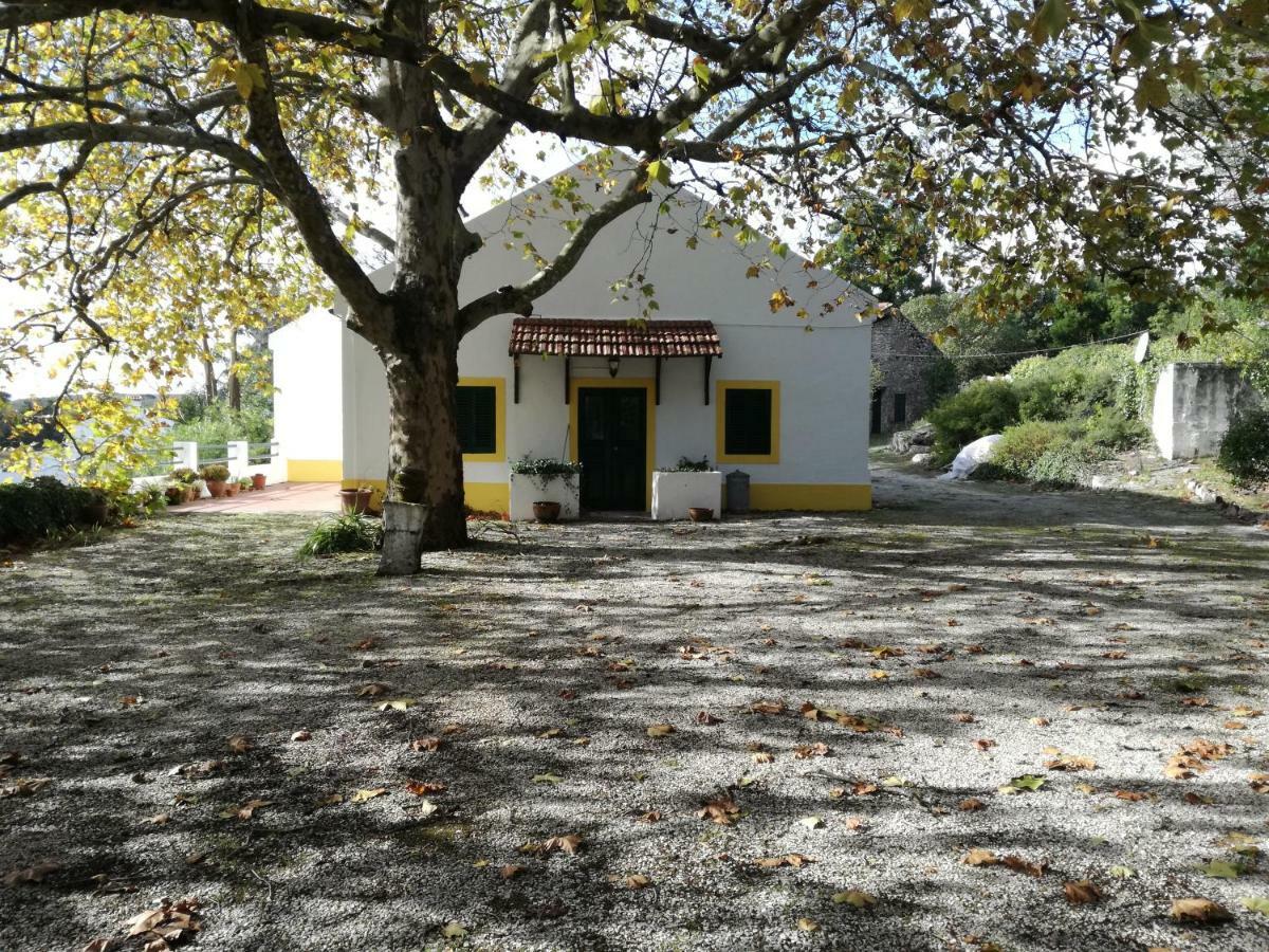 Montejunto Villas - Casa Do Platano Cadaval Exterior photo